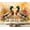 Color 2, variant on Wall Mural Peel and Stick Vibrant Orange Crab Sandy Beach Ocean Waves Sunset Self-Adhesive Wallpaper Removable Wall Decal Wall Sticker Home Decor for Living Room Bedroom 69"x96"