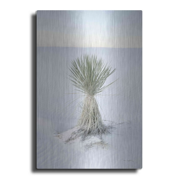 Luxe Metal Art 'Yucca in White Sands National Monument' by Alan Majchrowicz,Metal Wall Art, 12"x16"