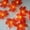 Orange, variant on Fasiaou 3 Packs Maple Leaf Lights String USB Powered Thanksgiving Decorations with 20 LED Lights 6ft Fall Harvest Party Home Wall Fireplace Decorative Lighting for Holiday