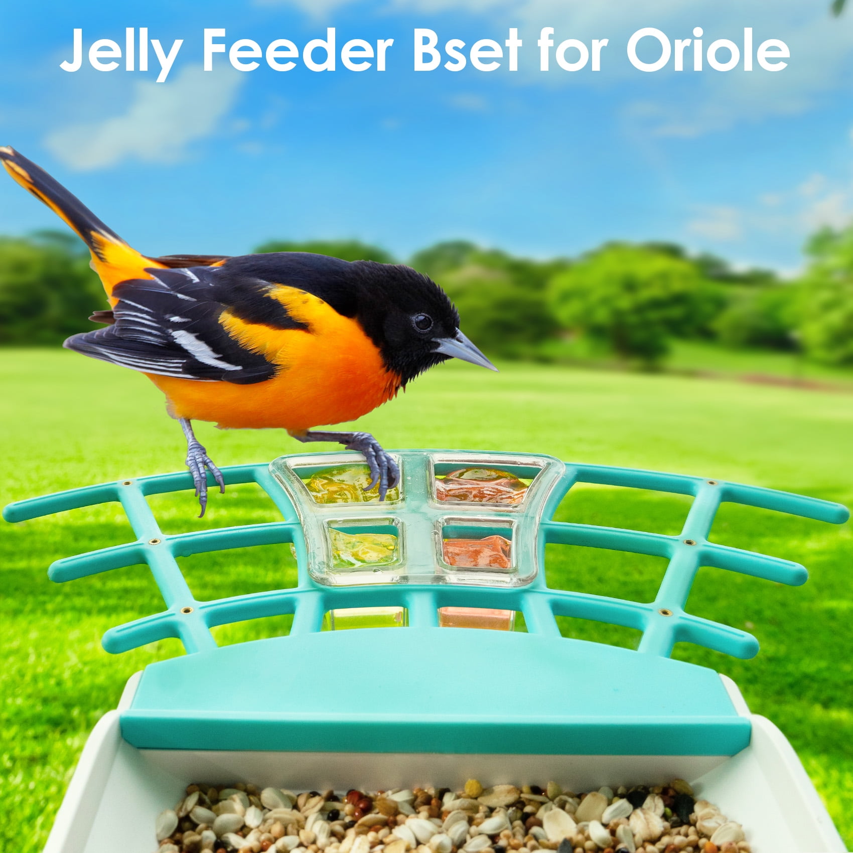 Birdkiss Bird Feeder Camera DIY Add-ons, Including Suet Ball, Mini Hummingbird Feeder, Fruit Holder, Jelly Feeder