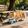 thumbnail image 5 of FEOLGEHLY Slow Feed Collapsible Silicone Dog Bowl, Non Skid Portable Travel Neck Care Pet Feeding Bowl Outdoor Food Water Bowl for Small Dogs and Indoor Cats Travel Pet Supplies, 5 of 6