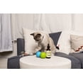thumbnail image 6 of Sophie's Apawthecary Cat Hip and Joint Glucosamine Liquid Supplement 2 oz for Pain Relief and Improved Joint Flexibility, 6 of 8