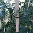 thumbnail image 4 of Cordón con cremallera para escritorio de computadora, bridas para jardinería, bridas para árboles, bridas para árboles, bridas para cables de jardín, tecnología avanzada, 4 of 10