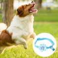 thumbnail image 3 of El poder de un collar dividido para gatos todo en uno con opciones personalizadas, 3 of 5
