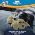 thumbnail image 3 of Juguete para Mascotas Pets Know Best Dorado con Corazón Palpitante y Calentador, 3 of 6