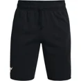 thumbnail image 3 of Short Under Armour Project Rock Terry Talla L, 3 of 5