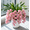 C, variant on Cymbidium Orchid Flower Bulbs, Easy‑Grow Low Maintenance Perennial, Suitable for Garden Beds, Borders, Pots and Planters