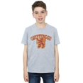 thumbnail image 2 of Harry Potter Boys Gryffindor Sport Emblem T-Shirt, 2 of 5