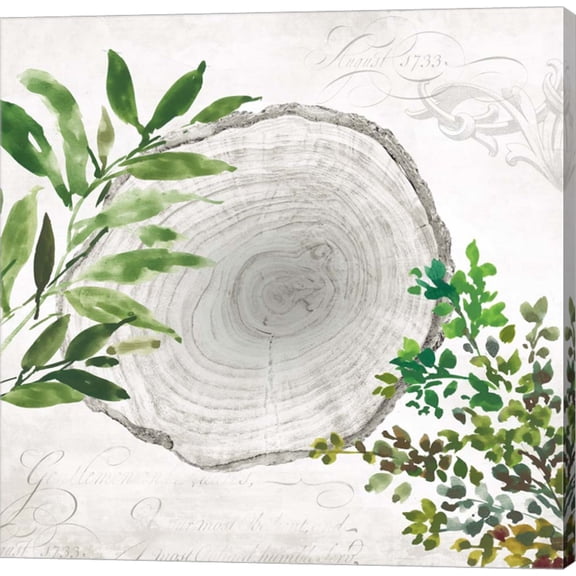 Eco II by Aimee Wilson, Canvas Wall Art