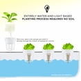 thumbnail image 2 of IVATION Hydroponic Nutrients A & B for Indoor Garden Kit - Plant Growth Boost, 2 of 5
