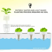 IVATION Hydroponic Nutrients A & B for Indoor Garden Kit - Plant Growth Boost