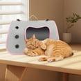 thumbnail image 4 of Portable Pet Bag Scratch Travel Backpack For Cats And Small Dogs, 4 of 5