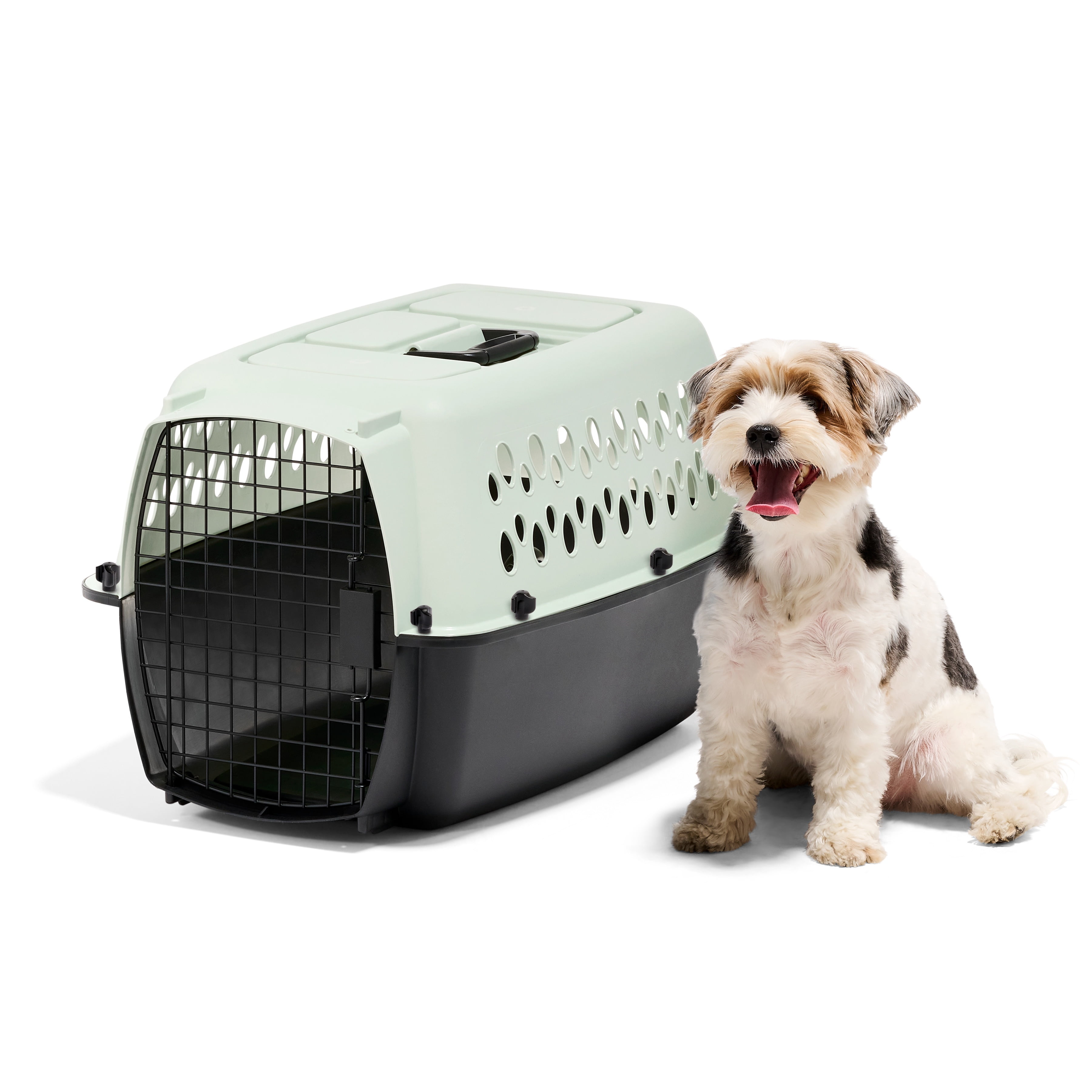 Petmate Pet Porter Fashion Travel Dog Kennel Portable Plastic Carrier, Small 24" for Dogs 15-20 lb, Green