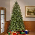 thumbnail image 2 of National Tree Company Arbre de Noël Artificiel Pré-Éclairé 9 Pieds Épicéa, 2 of 5