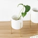 thumbnail image 2 of 2 Piezas Soporte de Planta Macetas con Tamaños,para Plante Suculentas, Cactus, 2 of 8