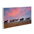 thumbnail image 5 of Stupell Industries Wild Horses Running at Pink Sunset Meadow Wall Plaque Design by PHBurchett, 5 of 5