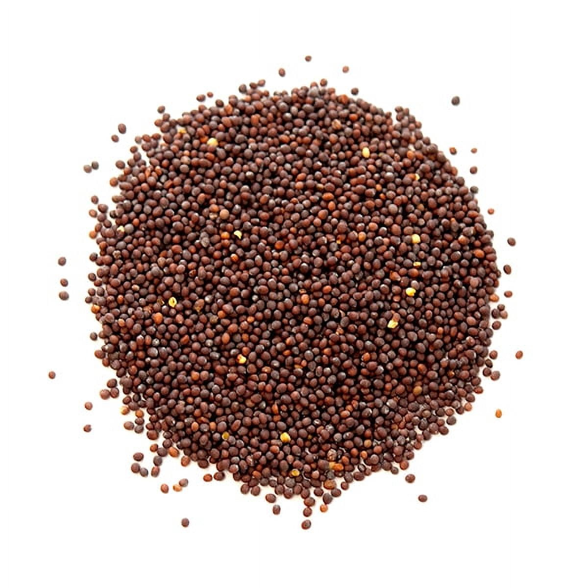 The Mustard Seeds☆Mustard Seeds Badia Mustard Seed 24 oz - Walmart.com