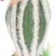 thumbnail image 3 of Reptile Cactus Plant Artificial Simulation Decorative Desert Plant Ornament for Fish Tank Terrarium Aquarium, 3 of 4