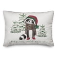 thumbnail image 2 of Creative Products Baby Cold Outside Raccoon 20 x 14 Spun Poly Pillow, 2 of 3