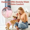 thumbnail image 3 of Pañales desechables para perros Ambreview para mujer S, 10 unidades, 3 of 8