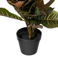 thumbnail image 4 of Vickerman 30" Artificial Croton Real Touch Potted Plant., 4 of 6