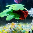 thumbnail image 6 of Ikeay Aquascape Betta Fish Resting Leaf, Plastic Aquarium Plant for Egg Laying, Realistic Design for Natural Tank Environment, 1 Leaf, 6 of 9