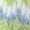 Green, variant on Socks Fashion Slipper Soft Slipper With Non Slip Thickening Adult Bottom Glue Warm Warm Fuzzy For Indoor Home Socks For Women