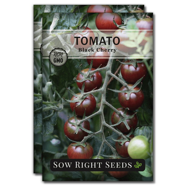 Black Cherry Tomato Seeds Non GMO Heirloom Varieties for your Home Vegetable Garden 2 Pack