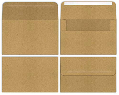 Strong 35 lb Fits up to 3 x 5 Cards Paper Kraft Mini Envelopes Business Cards 100-Pack Cash Actual Size 3.25 x 5.25 RSVP Cards Use with Gift Cards Straight Flap with Peel & Stick Closure 