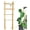 Ladder-Shaped, variant on PETGLE 16" Natural Bamboo Plants Trellis U-Hoop,Bamboo Gaeden Trellis U-Shape for Climbing Plant Support-10PCS