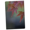 thumbnail image 1 of Gango Home Decor Japanese Maple VI by Rita Crane (Ready to Hang); One 24x36in Hand-Stretched Canvas, 1 of 4