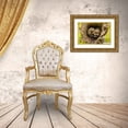 thumbnail image 3 of Jaynes Gallery 32x23 Gold Ornate Wood Framed with Double Matting Museum Art Print Titled - Minnesota-young raccoons in log-captive, 3 of 4