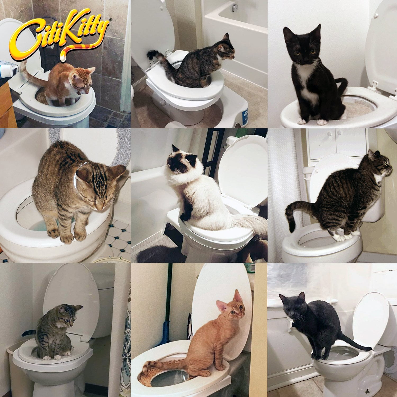 city kitty toilet