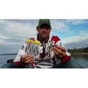 Strike King Rage Swimmer 4 3/4