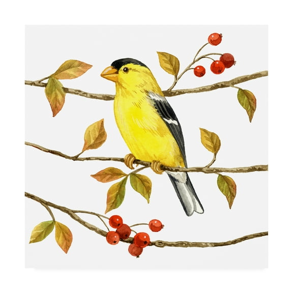Trademark Fine Art 'Birds And Berries II' Canvas Art by Jane Maday
