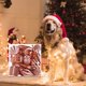 thumbnail image 5 of Xihbxyly Adornos Navideños, Impresionante Juego de Bolas, Adornos Duraderos para El Árbol, Decoración Navideña Completa, Uso En Interiores y Exteriores, Reuniones Familiares, Hermosa Caja de Regalo., 5 of 6