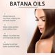 thumbnail image 4 of Camellia Seed Extract Hair Growth Oil Suitable for All Hair Types, 4 of 5