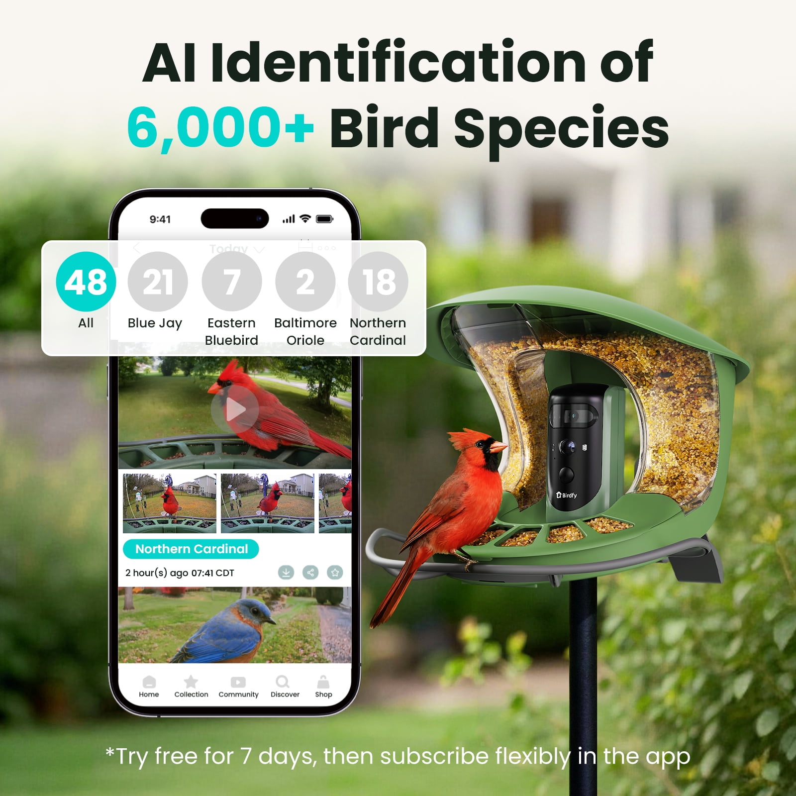 Birdfy Smart Bird Feeder with Camera, Dual-Lens, Solar-Powered, Auto-Capture Close-Ups & AI Identification with 99% Accuracy, Perfect Gift for Bird Lovers
