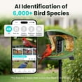 thumbnail image 4 of Birdfy Smart Bird Feeder with Camera, Dual-Lens, Solar-Powered, Auto-Capture Close-Ups & AI Identification with 99% Accuracy, Perfect Gift for Bird Lovers, 4 of 11