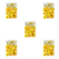 thumbnail image 1 of Ounissouiy Adorno de ramos de flores secas naturales, flores en relieve, planta preservada, hermosa joyería para el hogar para maquillaje facial Type2 NO2, 1 of 6