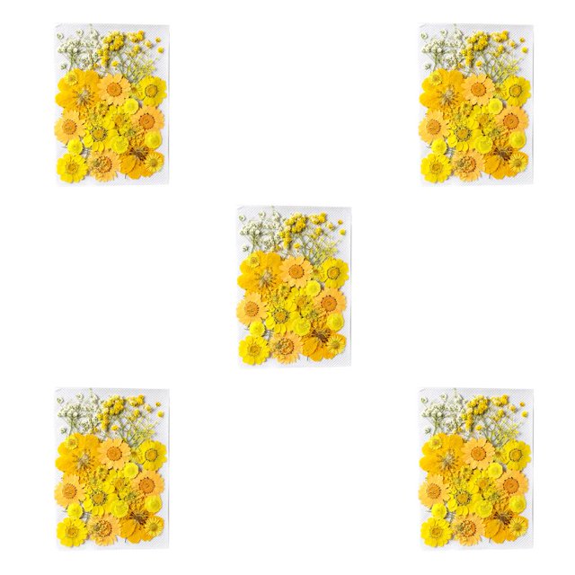 Ounissouiy Adorno de ramos de flores secas naturales, flores en relieve, planta preservada, hermosa joyería para el hogar para maquillaje facial Type2 NO2