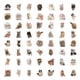 thumbnail image 3 of 60PCS Lindo Gatitos Gatos MEME Pegatinas Impermeables Para Portátil Casco Calcomanía, 3 of 3