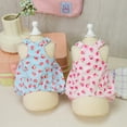 thumbnail image 7 of Adorable Pet Clothes for Cats & Small Dogs - Charming Spring & Autumn Wear Pet Dress, 7 of 7