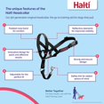 thumbnail image 2 of czcpp-HALTI Collier de Tête - pour Empêcher Votre Chien de Tirer sur la Laisse. Réglable, Réfléchissant et Léger, avec Bande de Nez Rembourrée. Collier Anti-Traction pour Chiens Moyens (Taille 3, Vert Forêt), 2 of 4