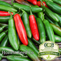 100 Serrano Pepper Seeds | Non-GMO | Heirloom | Fresh Garden Seeds from USA