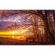 thumbnail image 1 of Taladro Pintura Diamante (DE0993) 5D DIY Bosque Completo Atardecer Punto de Cruz Bordado 50x70cm FLhrweasw Nuevo, 1 of 1