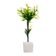 thumbnail image 2 of 2x 1:12 Escala Casa de Muñecas Miniatura Árbol de Plástico Planta Verde para Macarena plantas en miniatura, 2 of 8