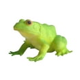 thumbnail image 4 of Figura de rana de simulación, figuras de acción de animales, juguete de rana falsa para habilidades cognitivas, 4 of 9