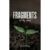 Fragments of My Soul (Paperback)