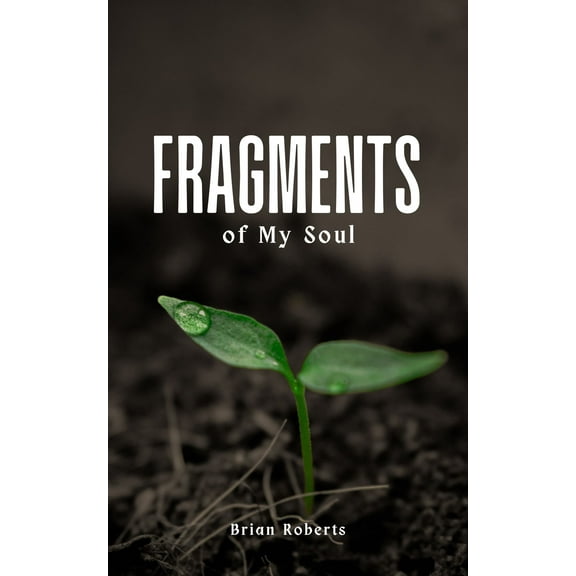 Fragments of My Soul (Paperback)